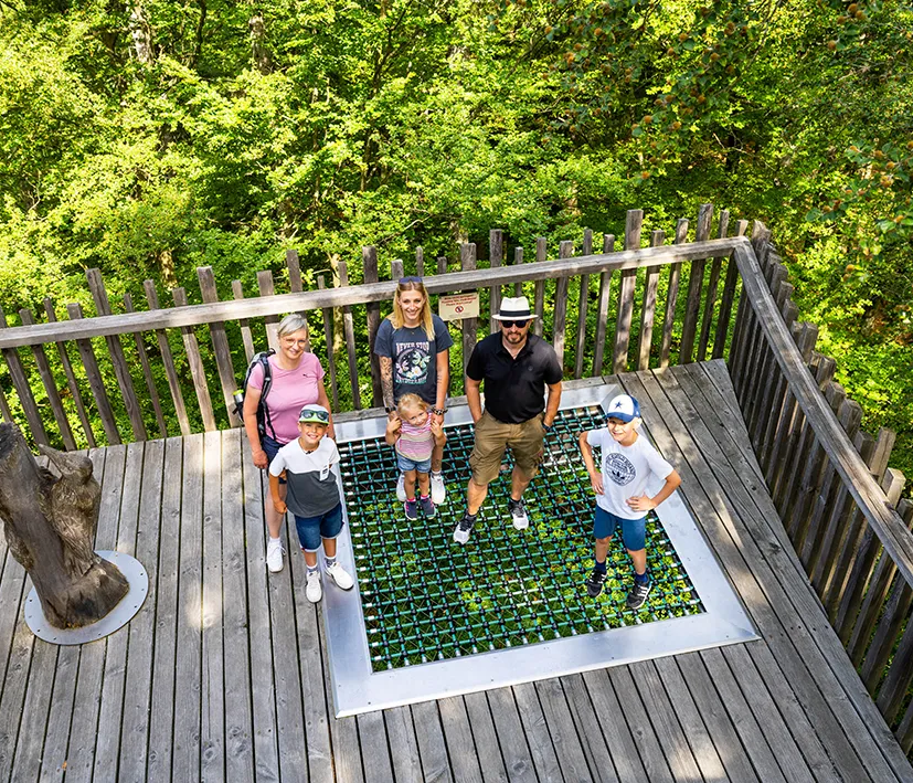 Familienausflug auf dem Baumwipfelpfad Familienausflug am Arbersee