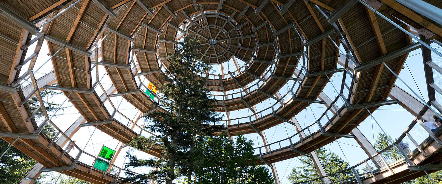 Bavarian Forest Tree Tower 