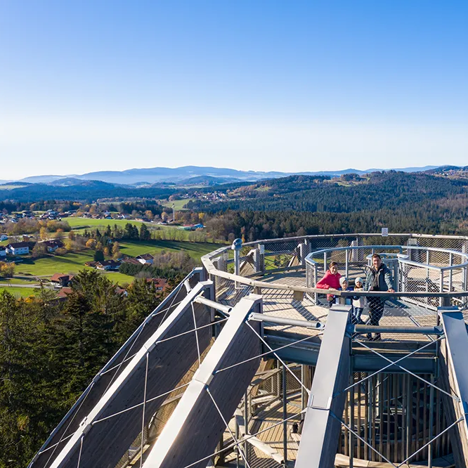 Zwei Personen stehen auf der obersten Plattform am Baumei des Baumwipfelpfades in Neuschönau und genießen die atemberaubende Aussicht auf die umliegende Landschaft.