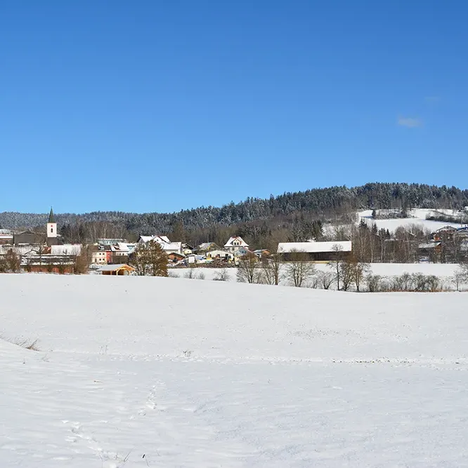 Winterwunderland - Panorama von Eppenschlag