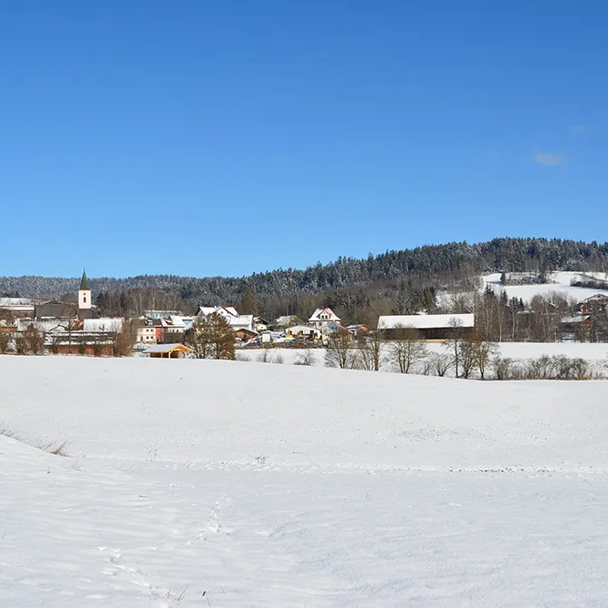 Winterwunderland - Panorama von Eppenschlag