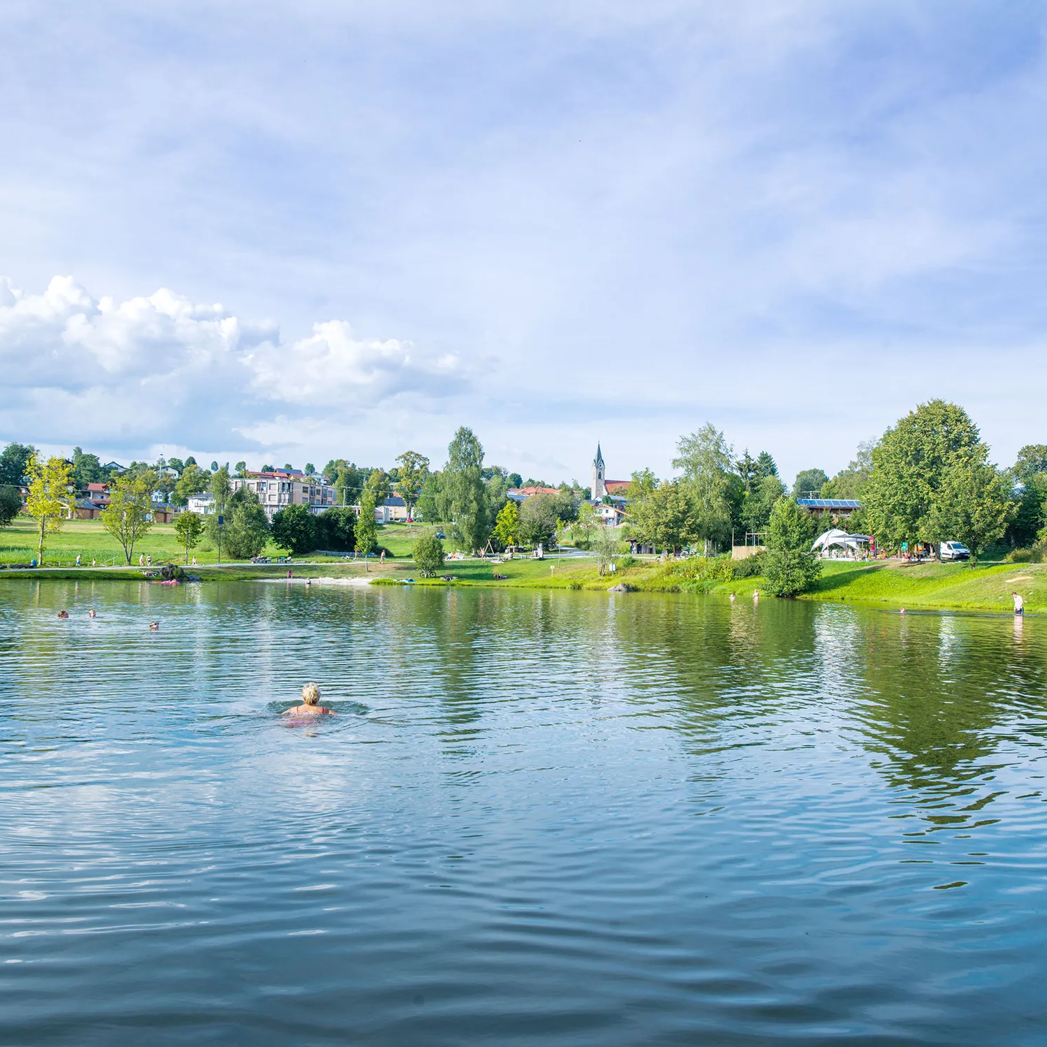 Die friedliche Szenerie zeigt den Landschaftsweiher in Neuschönau, in dem Schwimmer aktiv sind, mit Blick auf den malerischen Ort im Hintergrund.