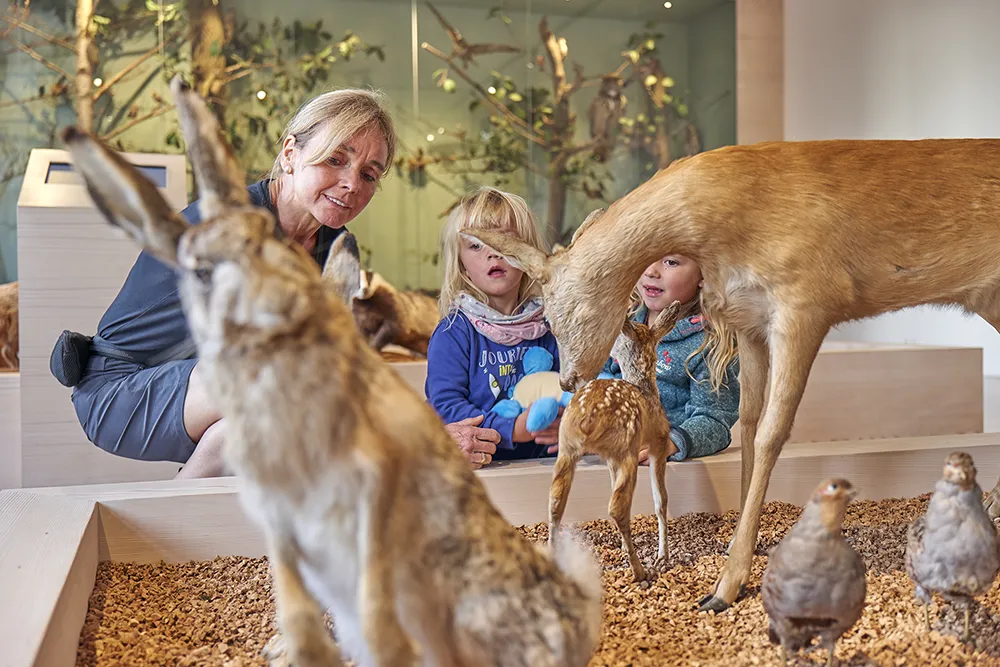 Kinder entdecken die Tierwelt in Zwiesel im Waldmuseum Eine Frau lächelt, während zwei Kinder die Tierpräparate von Reh und Hase in einem naturkundlichen Ausstellungsraum betrachten.