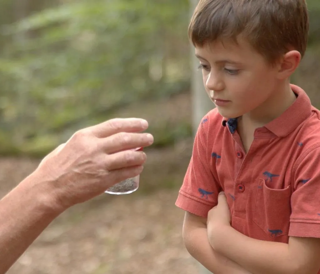 Lernmoment im Freien: Der Junge schaut interessiert auf die Becherlupe mit Inhalt Waldführer erklärt Kind einen Käfer