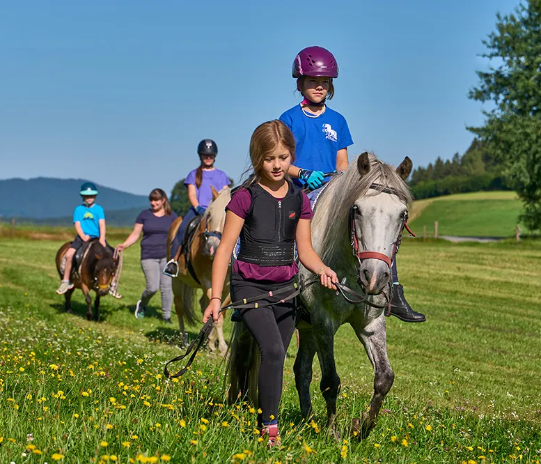Gemeinsame Erlebniszeit: Kinder und Pferde bei einer Tour auf einer Wiese Eine Gruppe von Kindern reitet auf Ponys und wird von einem Mädchen mit einem grauen Pferd angeführt, umgeben von blühenden Wiesen.