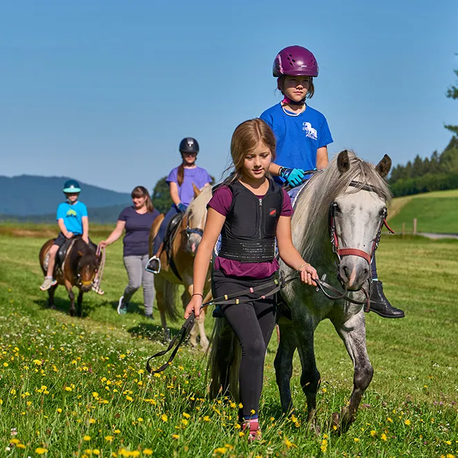 Eine Gruppe von Kindern reitet auf Ponys und wird von einem Mädchen mit einem grauen Pferd angeführt, umgeben von blühenden Wiesen.