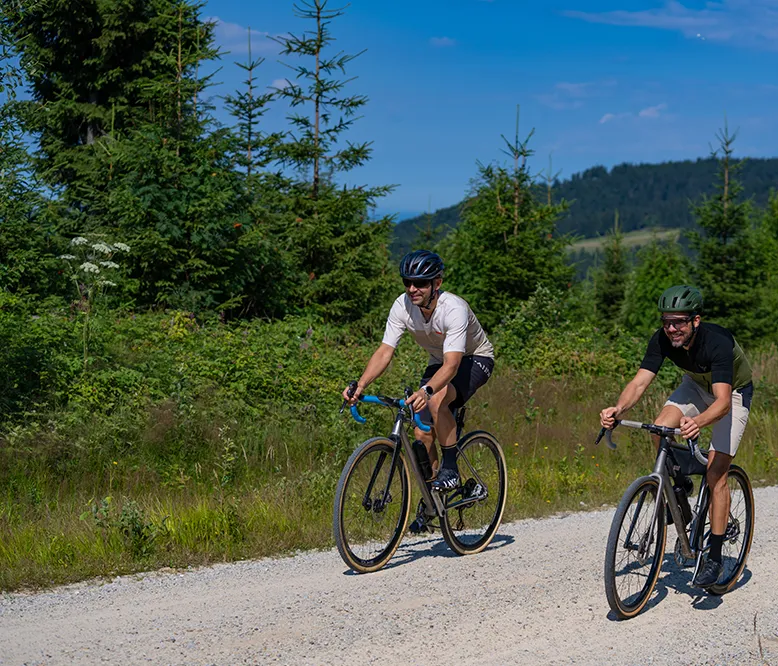 Zwei Montainbiker auf einer Schotterstraße mit schöner Waldlandschaft im Hintergrund Zwei Männer beim Radfahren