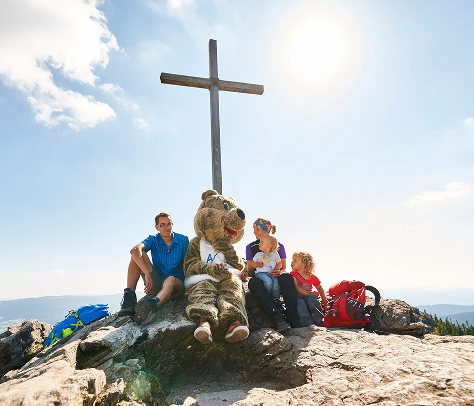 Ein ArBär sitzt mit einer Familie auf einem Felsen, während die Sonne hell am Himmel scheint.