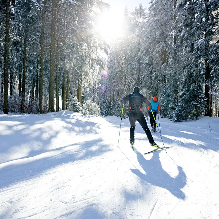 Zwei Langläufer auf einer sonnigen Loipe im Wald Langlaufen im Bayerischen Wald