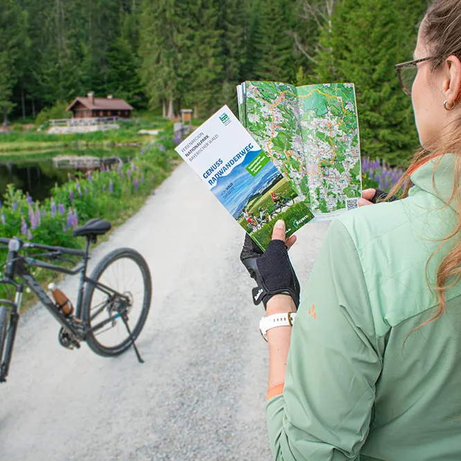 Eine Mountainbikerin steht vor einem Waldsee und schaut in den Pocketguide-Rad der Ferienregion Nationalpark Bayerischer Wald.