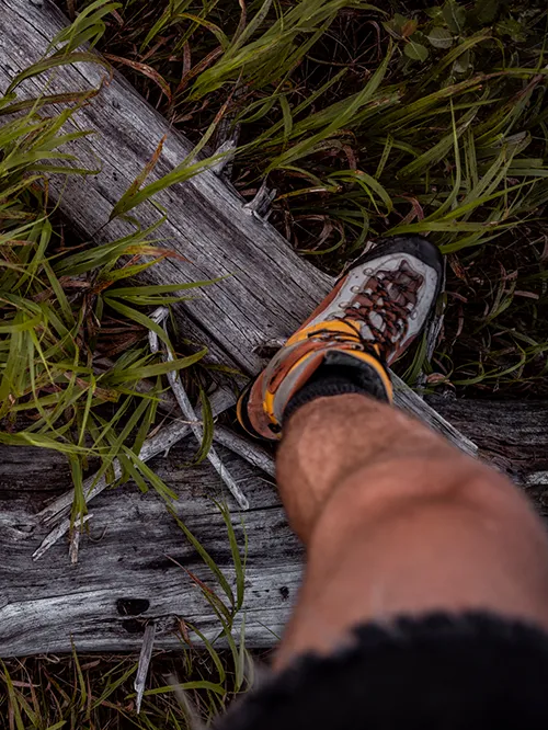 Abenteuerliche Wanderung über verwitterte Baumstämme Wanderer in wildem Gelände