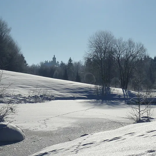 Spiegelauer Kurpark im Winter