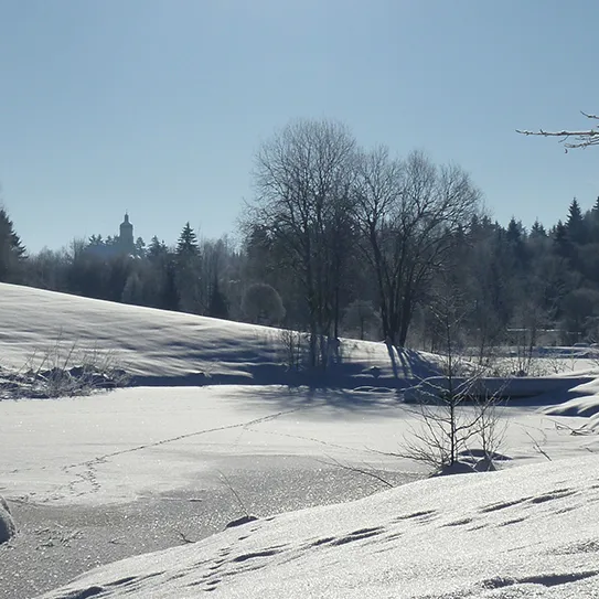 Verschneiter Spiegelauer Kurpark im Winter