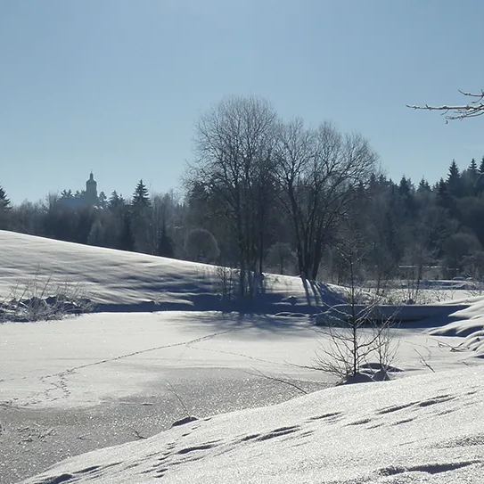 Verschneiter Spiegelauer Kurpark im Winter