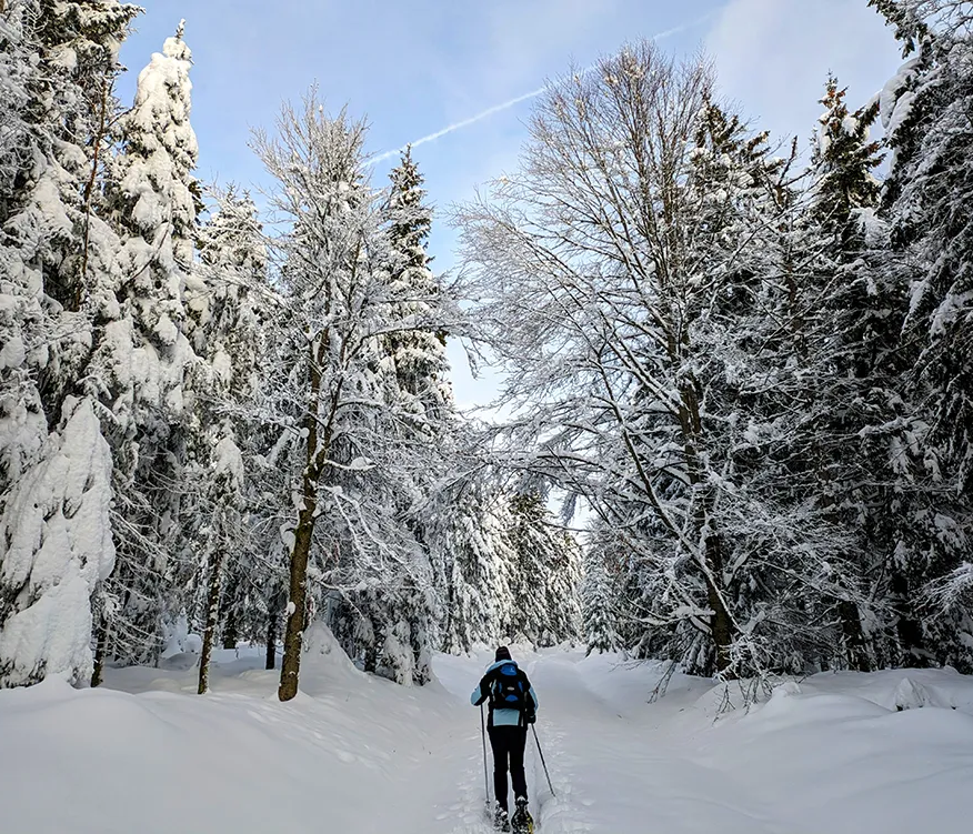 Schneeschuhtour beim Zwercheck Ein Skiwanderer mit Skischuhen streift durch den winterlichen Wald am Zwercheck