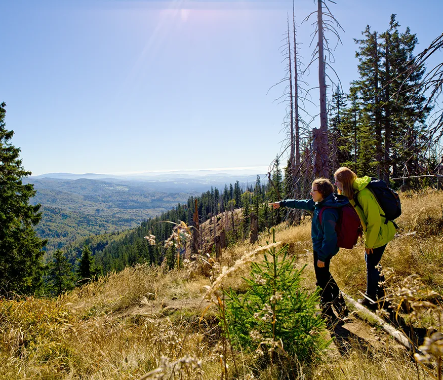 Wanderer im Nationalpark Bayerischer Wald