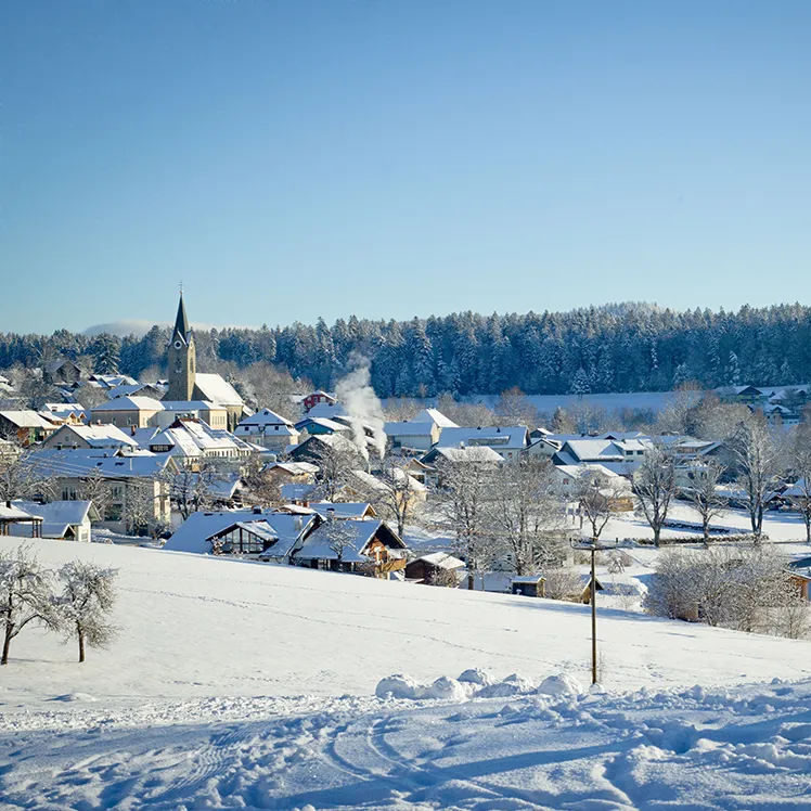 Die verschneite Landschaft rund um die Gemeinde Neuschönau