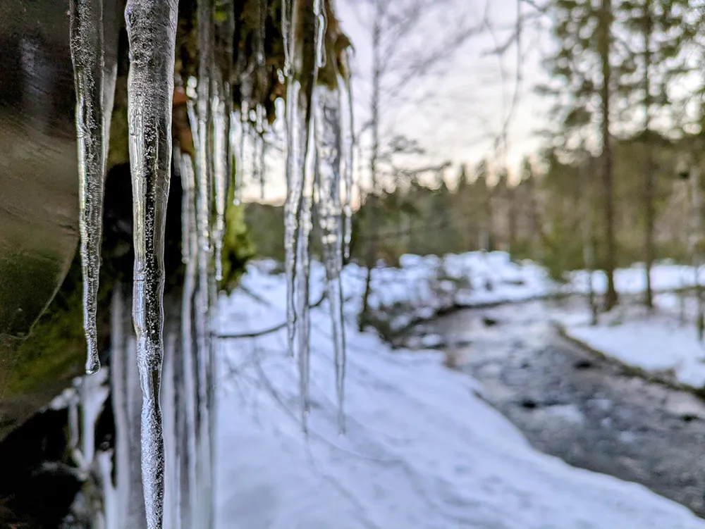 Eiszapfen und schneebedeckte Umgebung in ruhiger Auenlandschaft Im Winter am Flusswanderweg bei Bayerisch Eisenstein