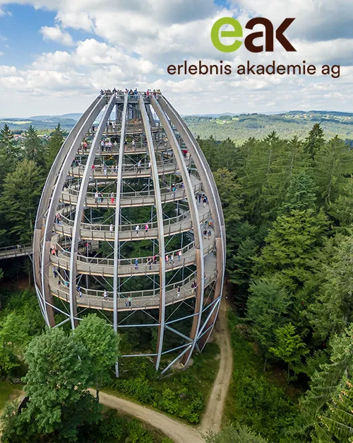 Blick auf den Baumwipfelpfad Bayerischer Wald im Sommer mit Logo oben rechts