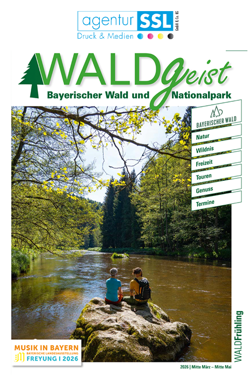 Foto vom WALDGeist Magazin von der Agentur SSL mit Logo oben rechts
