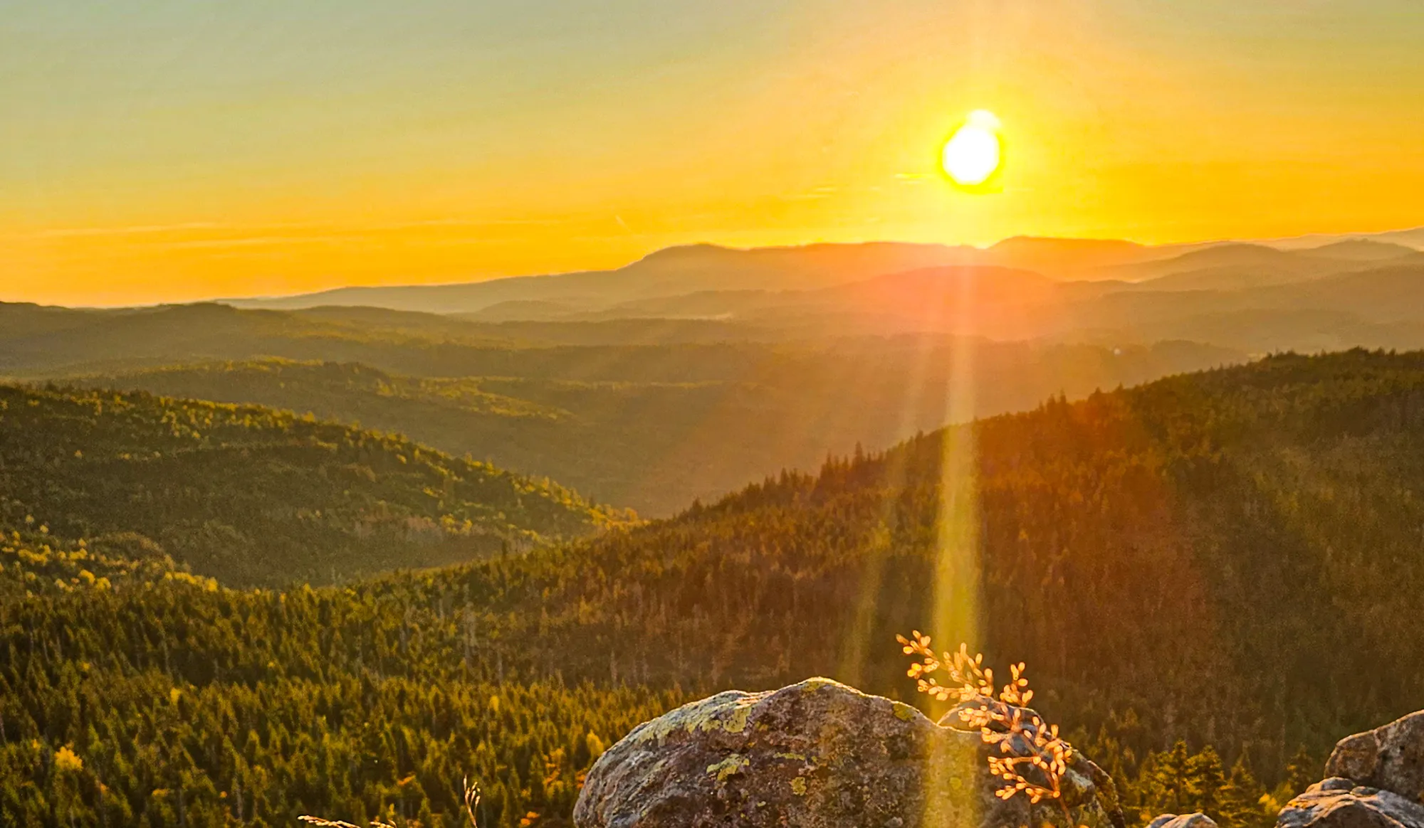 Sonnenaufgang am Lusen Sonnenaufgang am Lusen