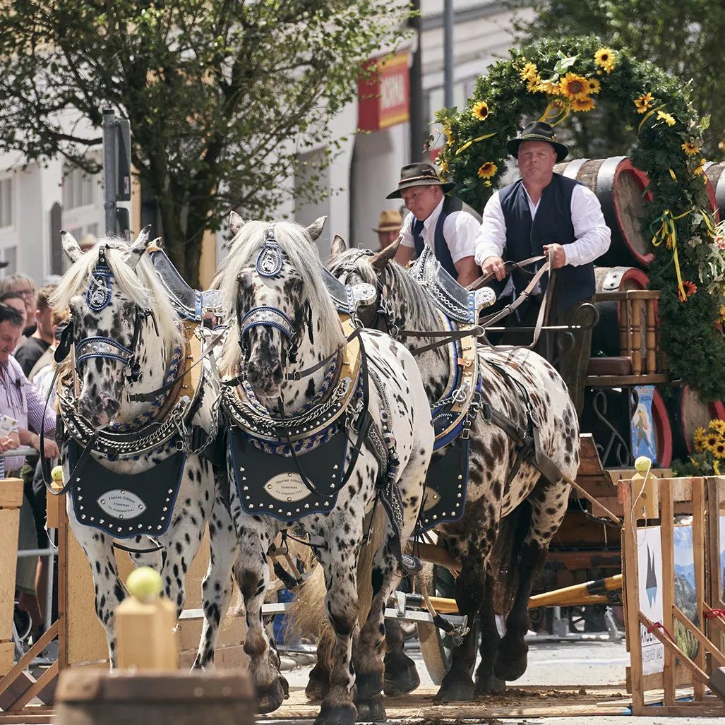 Pferdegespann mit Brauereiwagen Brauereiwagen mit Pferden bei einem Geschicklichkeitsrennen