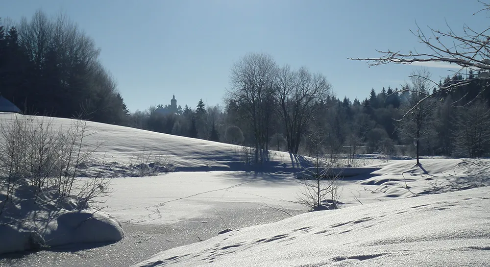 Verschneiter Spiegelauer Kurpark im Winter