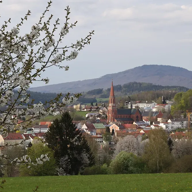 Foto von der Glasstadt Zwiesel von Einsiedelei aus im Frühjahr