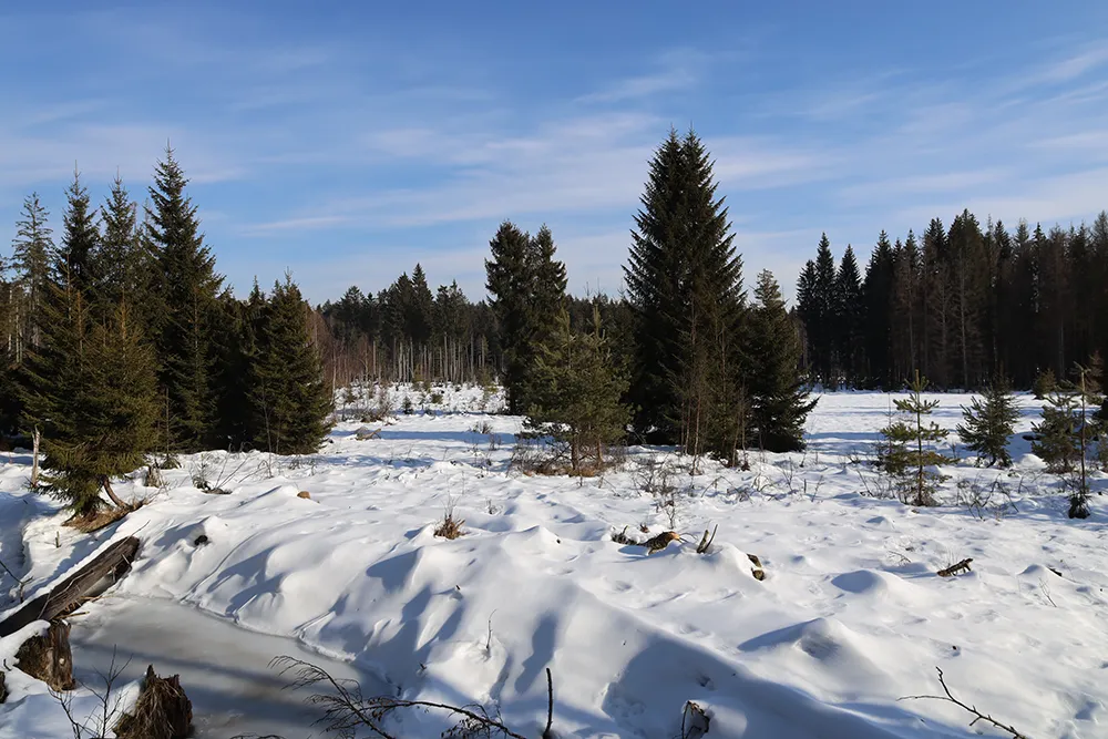 Verschneite Winterlandschaft in der Ferienregion Nationalpark Bayerischer Wald 