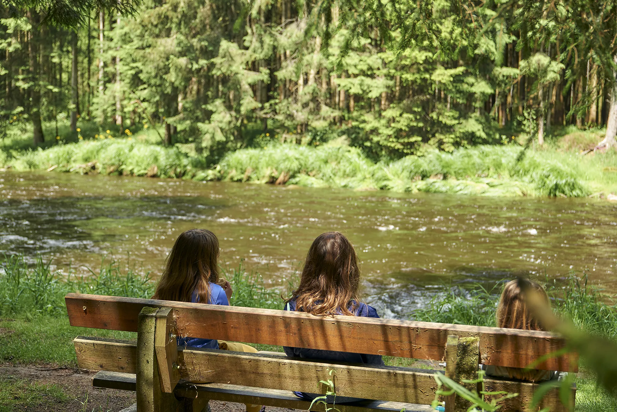 Flusswanderweg am Regen mit einer Bank auf der zwei Kinder sitzen und die Natur geniessen
