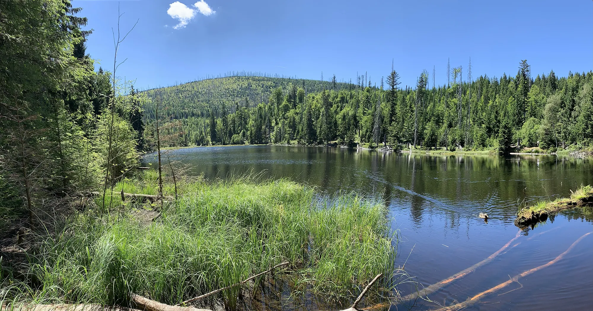 Blick auf den Lakasee im Sommer