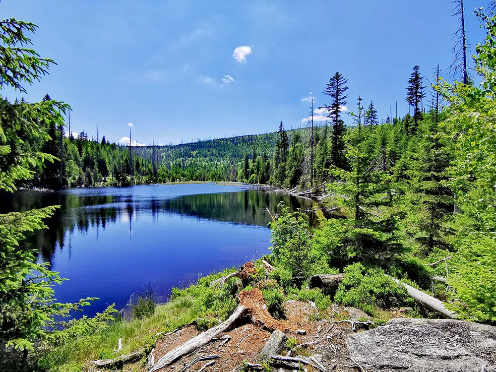 Blick über den Lakasee